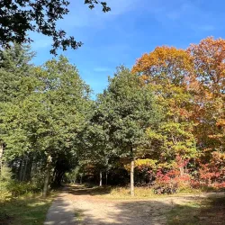 De Utrechtse Heuvelrug National Park - Zeist