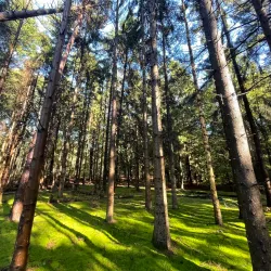 De Utrechtse Heuvelrug National Park - Zeist
