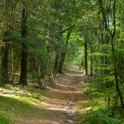 De Utrechtse Heuvelrug National Park - Zeist