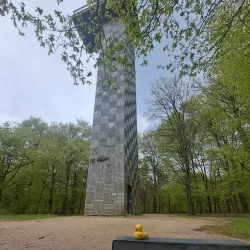 De Utrechtse Heuvelrug National Park - Zeist