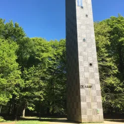 De Utrechtse Heuvelrug National Park - Zeist