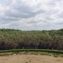 Pyramide van Austerlitz - Zeist