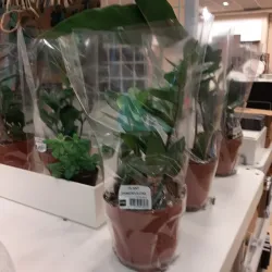 Slotlaan Shopping Area - Zeist