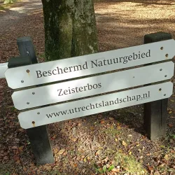 Zeister Bos - Zeist