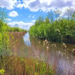 Balijbos - Zoetermeer