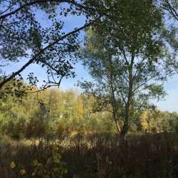 Balijbos - Zoetermeer