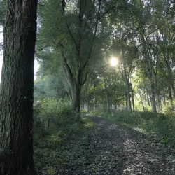 Balijbos - Zoetermeer