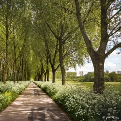 Balijbos - Zoetermeer