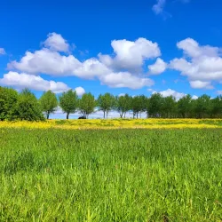 Balijbos - Zoetermeer
