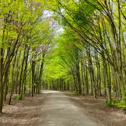 Balijbos - Zoetermeer