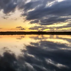 Balijbos - Zoetermeer