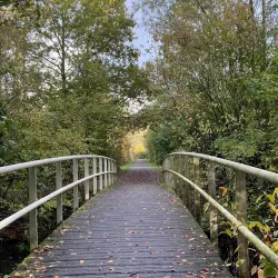 Balijbos - Zoetermeer