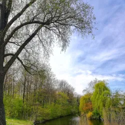 Driemanspolder - Zoetermeer