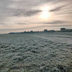 Driemanspolder - Zoetermeer