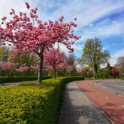 Driemanspolder - Zoetermeer