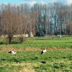 Driemanspolder - Zoetermeer