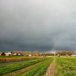 Driemanspolder - Zoetermeer