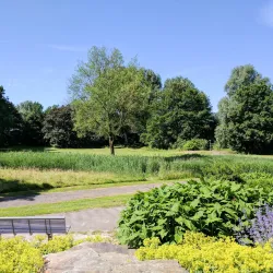 Driemanspolder - Zoetermeer