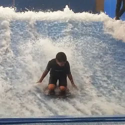 Dutch Water Dreams - Zoetermeer