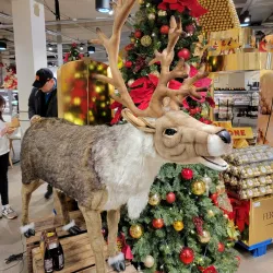 Oosterheem Park - Zoetermeer