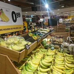 Rokkeveen Park - Zoetermeer