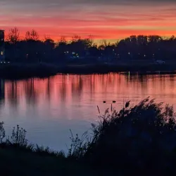 Zoetermeerse Plas - Zoetermeer