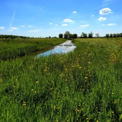 Zoetermeerse Plas - Zoetermeer