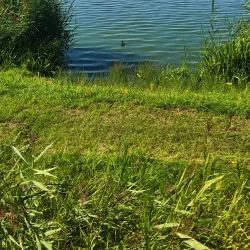 Zoetermeerse Plas - Zoetermeer