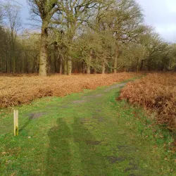 Buitenplaats Leyduin - Zoeterwoude
