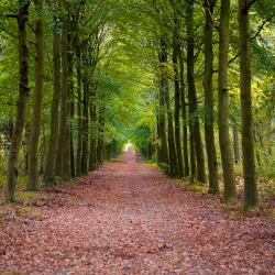 Buitenplaats Leyduin - Zoeterwoude