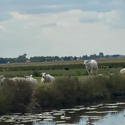 De Zoeterwoudse Molenpark - Zoeterwoude