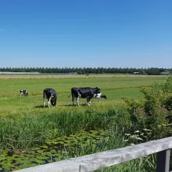 De Zoeterwoudse Molenpark - Zoeterwoude