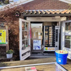 Local Farms and Cheese Producers - Zoeterwoude