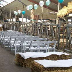 Local Farms and Cheese Producers - Zoeterwoude