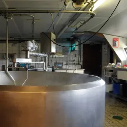 Local Farms and Cheese Producers - Zoeterwoude