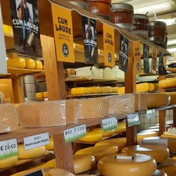 Local Farms and Cheese Producers - Zoeterwoude