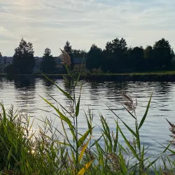 Rijn-Schiekanaal - Zoeterwoude