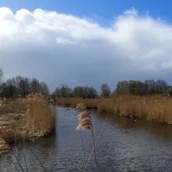 Zoeterwoude Cycling Routes - Zoeterwoude