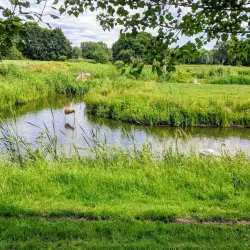 Zoeterwoude Cycling Routes - Zoeterwoude