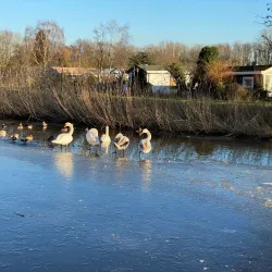 Zoeterwoude Cycling Routes - Zoeterwoude