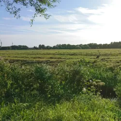 Zoeterwoude Cycling Routes - Zoeterwoude