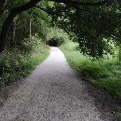 Zoeterwoude Cycling Routes - Zoeterwoude