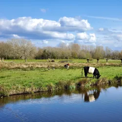 Zoeterwoude Cycling Routes - Zoeterwoude