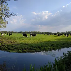 Zoeterwoude Cycling Routes - Zoeterwoude