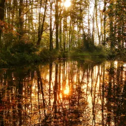 Zoeterwoude Cycling Routes - Zoeterwoude