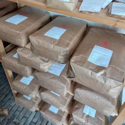 Zoeterwoude Windmill (De Windhond) - Zoeterwoude