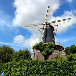 Zoeterwoude Windmill (De Windhond) - Zoeterwoude