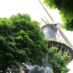 Zoeterwoude Windmill (De Windhond) - Zoeterwoude