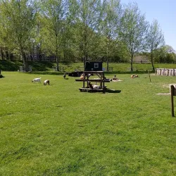 Park de Wezenlanden - Zwolle