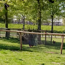 Park de Wezenlanden - Zwolle